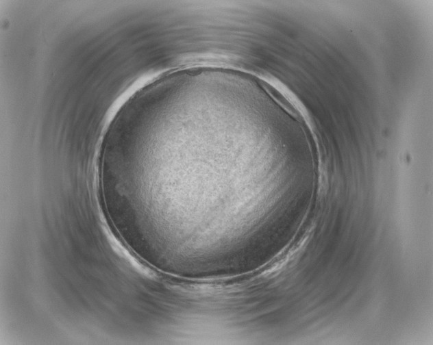 X0000087551341200705112112