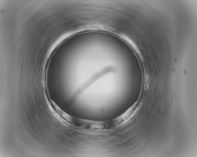 X0000087551342200705112112