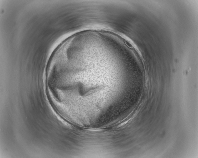 X0000087551343200705112112