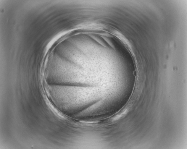 X0000087551344200705112112