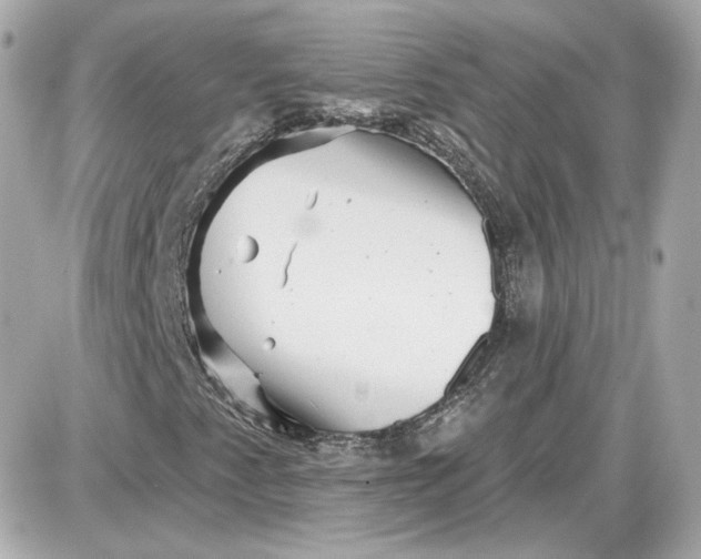 X0000087551345200705112111