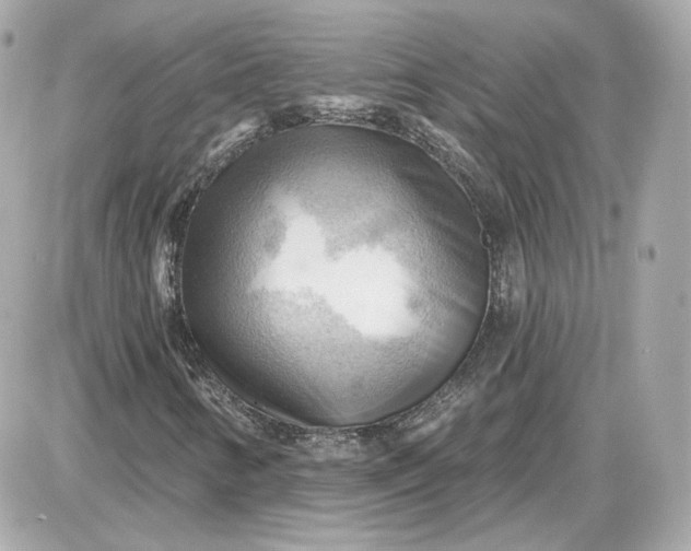 X0000087551346200705112111