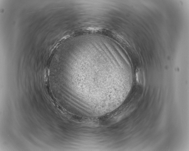 X0000087551347200705112111