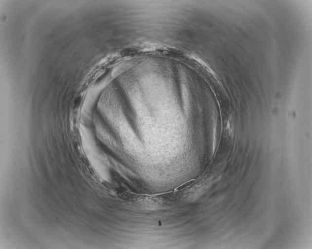 X0000087551348200705112111