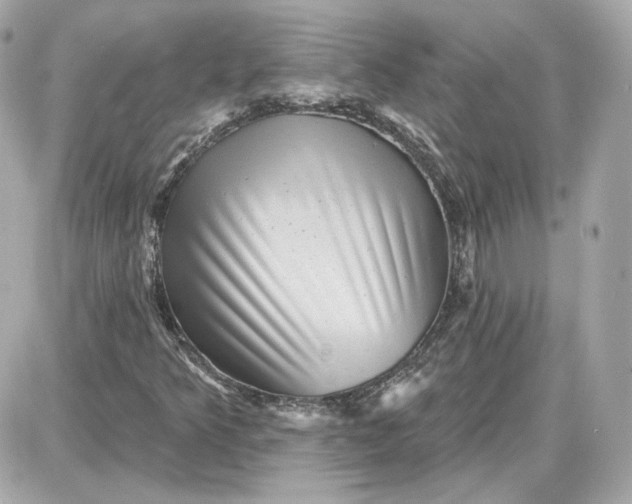 X0000087551349200705112111