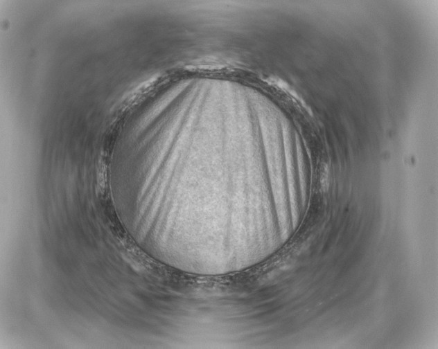 X0000087551350200705112111