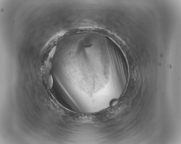 X0000087551351200705112111