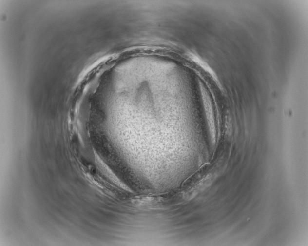 X0000087551352200705112111