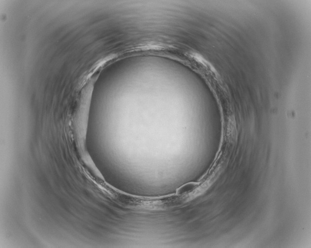 X0000087551353200705112111