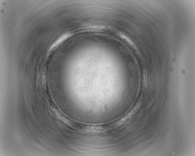 X0000087551354200705112111