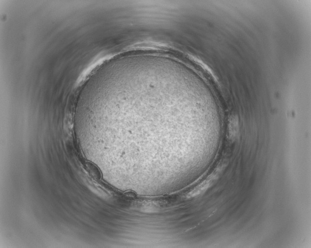 X0000087551355200705112111