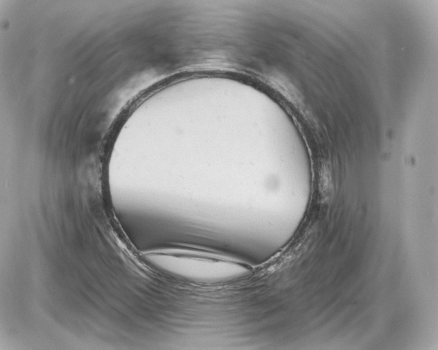 X0000087551356200705112111