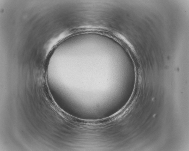 X0000087551357200705112111