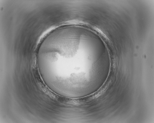 X0000087551358200705112111