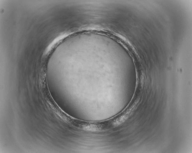 X0000087551359200705112111