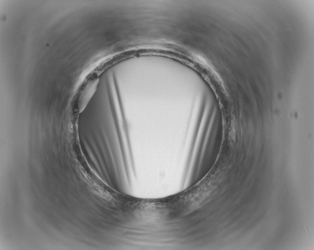 X0000087551360200705112111