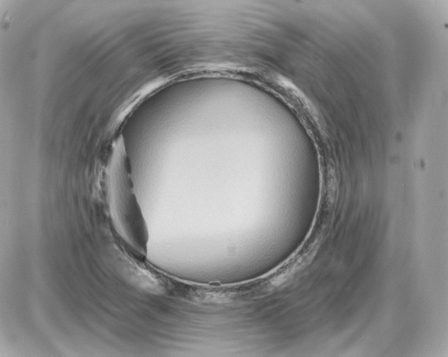 X0000087551361200705112111