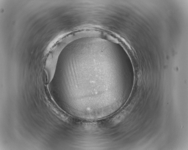 X0000087551363200705112111