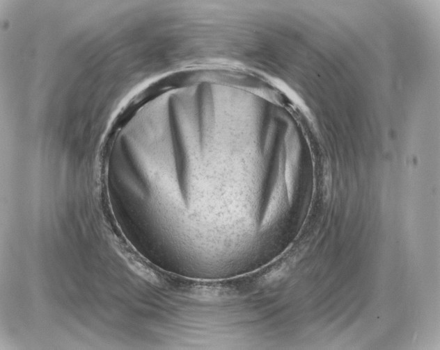 X0000087551364200705112111