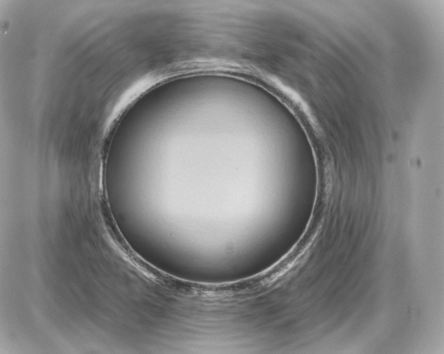 X0000087551365200705112111