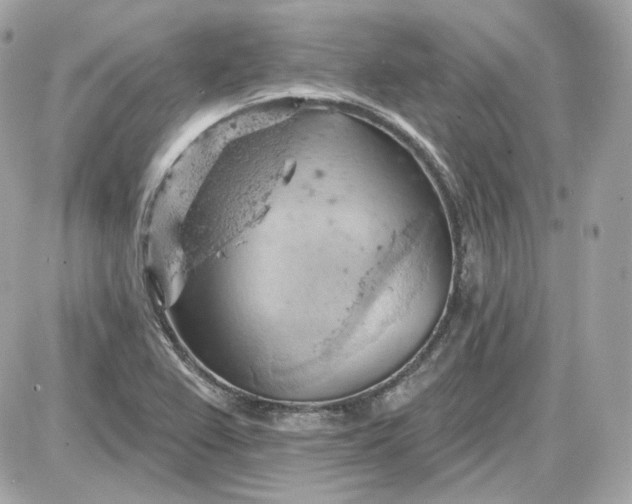 X0000087551367200705112111