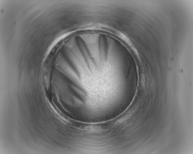 X0000087551368200705112111