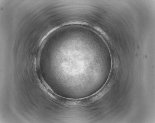 X0000087551369200705112111