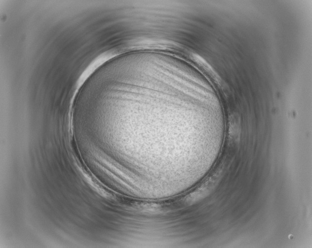 X0000087551370200705112111