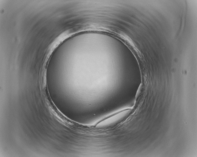 X0000087551371200705112111