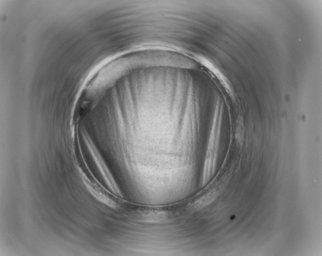 X0000087551372200705112111