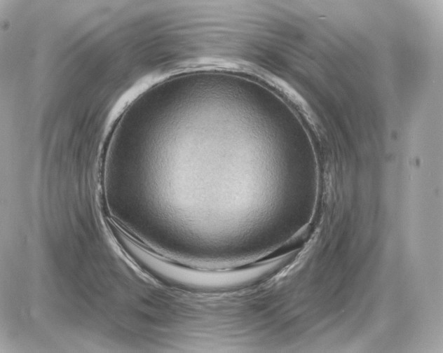 X0000087551373200705112111