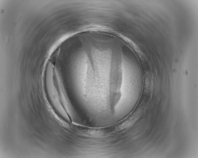 X0000087551375200705112111