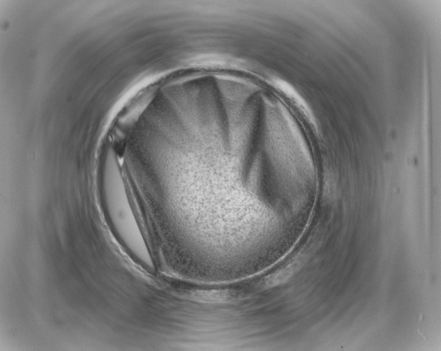 X0000087551376200705112111