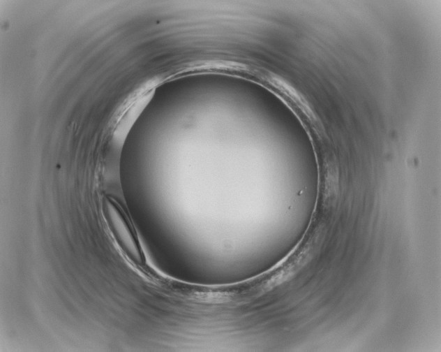 X0000087551377200705112110