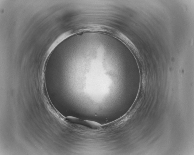 X0000087551378200705112110