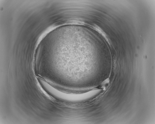 X0000087551379200705112110