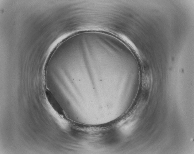 X0000087551380200705112110