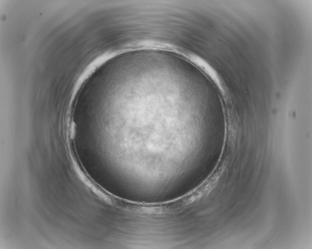 X0000087551381200705112110