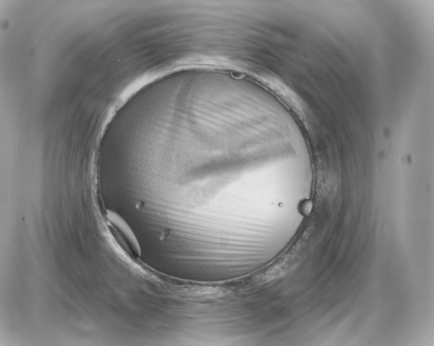 X0000087551382200705112110