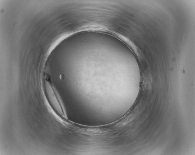 X0000087551383200705112110