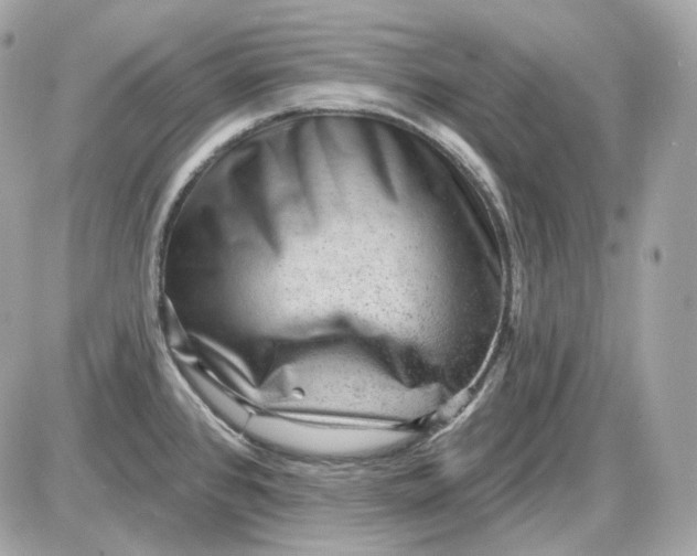 X0000087551384200705112110