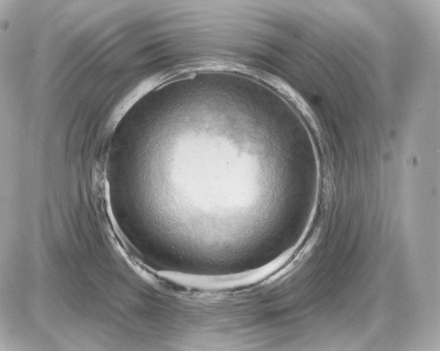 X0000087551385200705112110