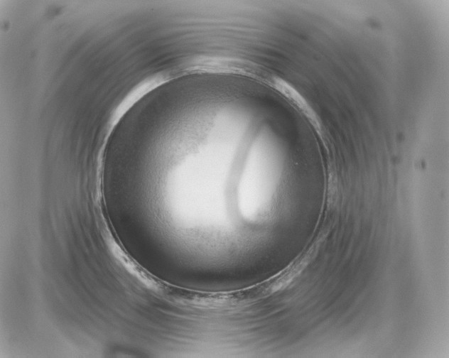 X0000087551386200705112110