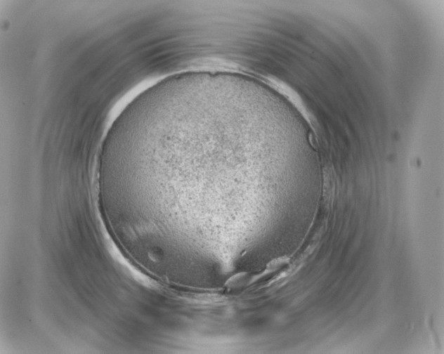 X0000087551387200705112110