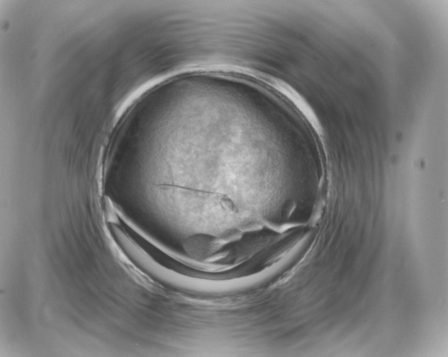 X0000087551388200705112110