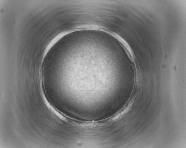 X0000087551389200705112110