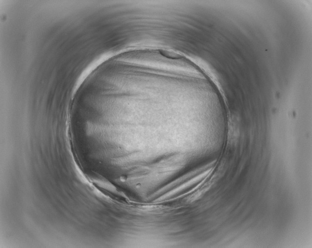 X0000087551390200705112110