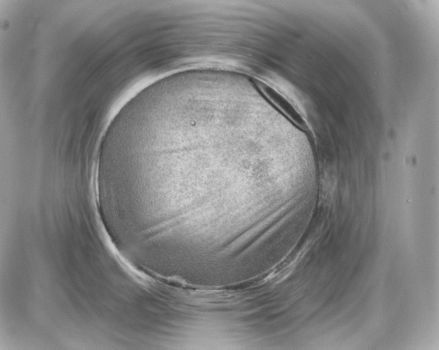 X0000087551391200705112110