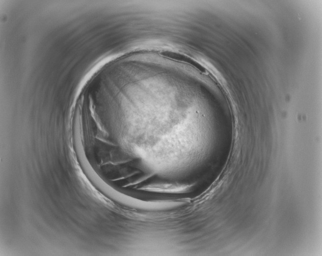 X0000087551392200705112110