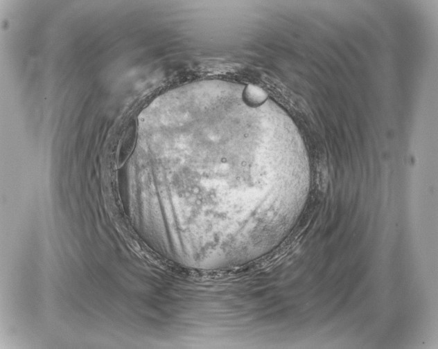 X0000087551393200705112109